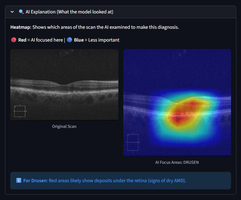 Oct Insight screenshot 2